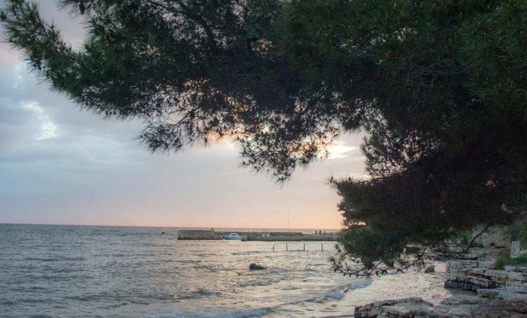 Apartments Villa Stapo Umag Luaran gambar